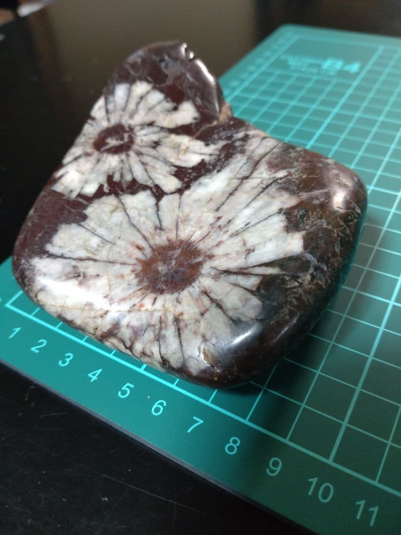 K*0様 菊花石 ピンク花　孔雀部分　根尾 鑑賞石 水石 自然石　木製・花梨の台