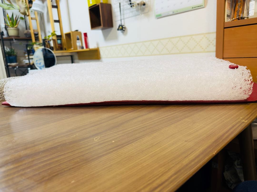 【新品★定価3万超】BRAIN SLEEP PILLOW ブレインスリープピロー