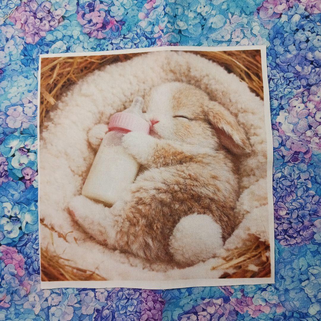 専用　ちっちざる様