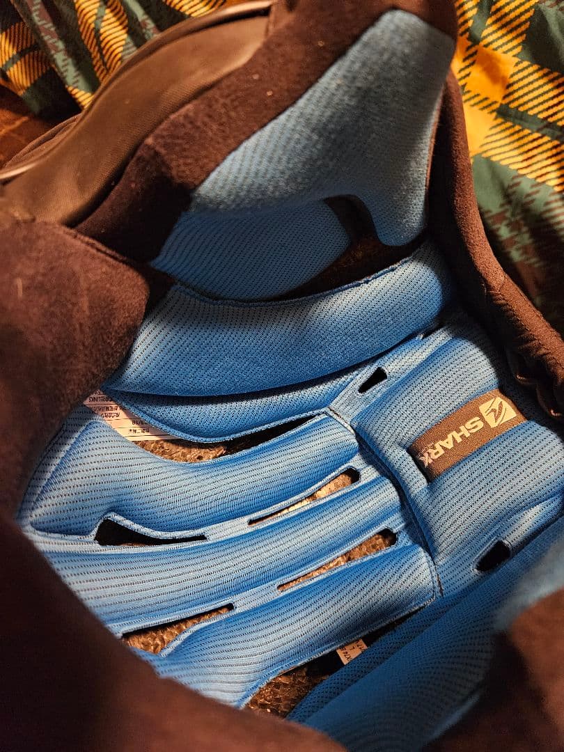 極美品 SHARK DRAK（シャーク ダラク）Lサイズ 布袋付 使用少