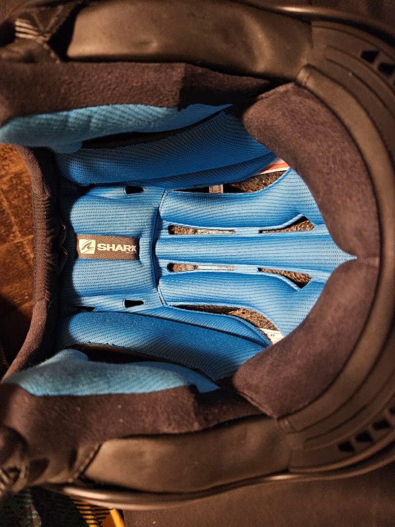 極美品 SHARK DRAK（シャーク ダラク）Lサイズ 布袋付 使用少