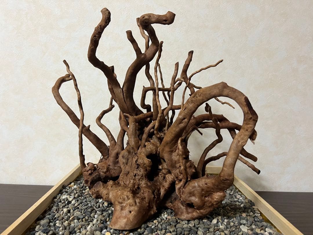 10936 ブランチウッド　流木　アクアリウム　沈水確認済