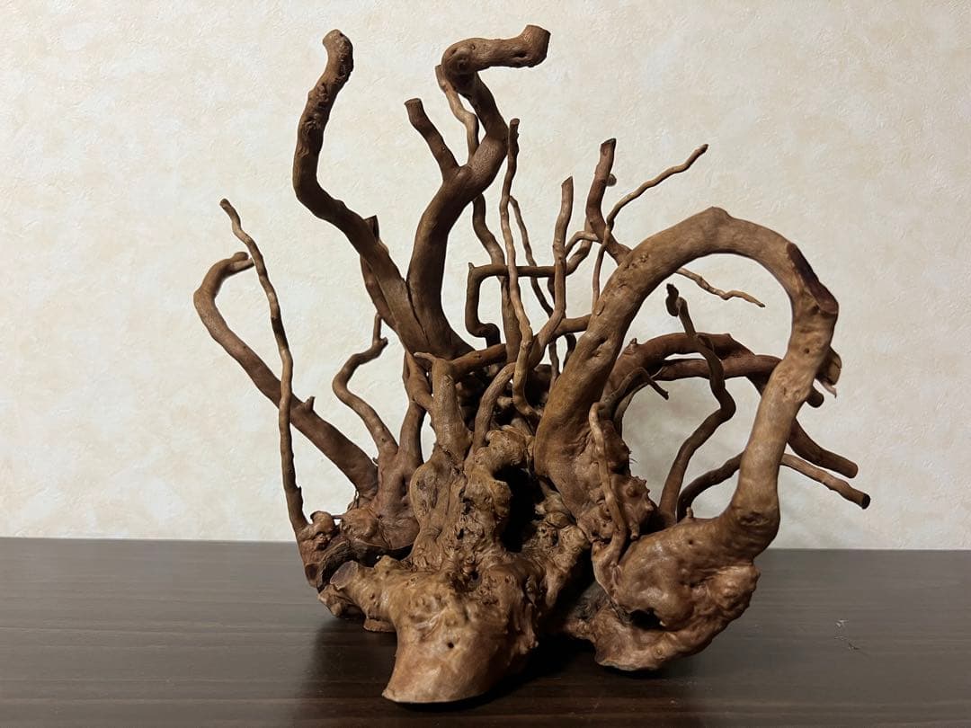 10936 ブランチウッド　流木　アクアリウム　沈水確認済