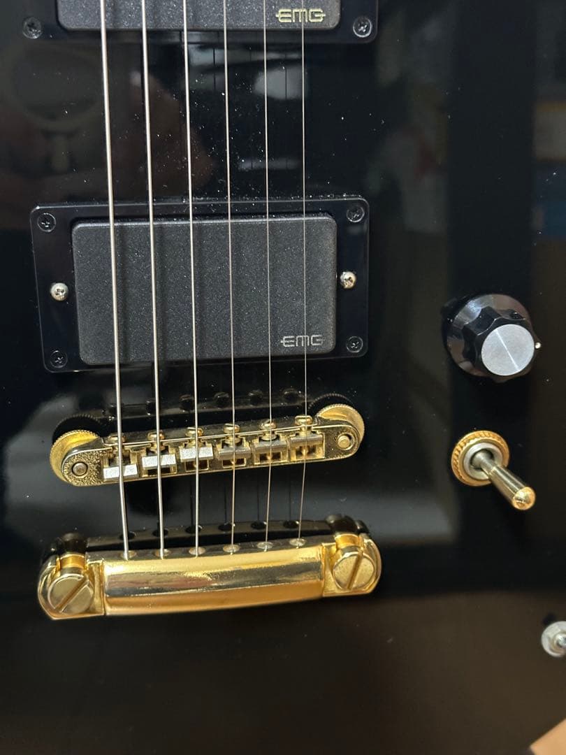 ネ*－様 Fernandes BURNY MG-80X EMG 純正ソフトケース