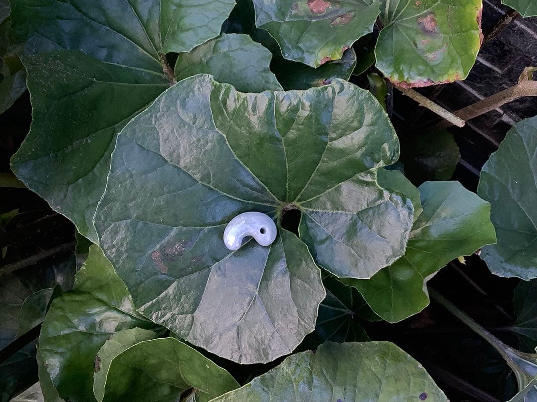 ✳薄利多売‼️お値段自信ありの糸魚川翡翠御守りアイスジェイド勾玉　極上肌目　鑑別書