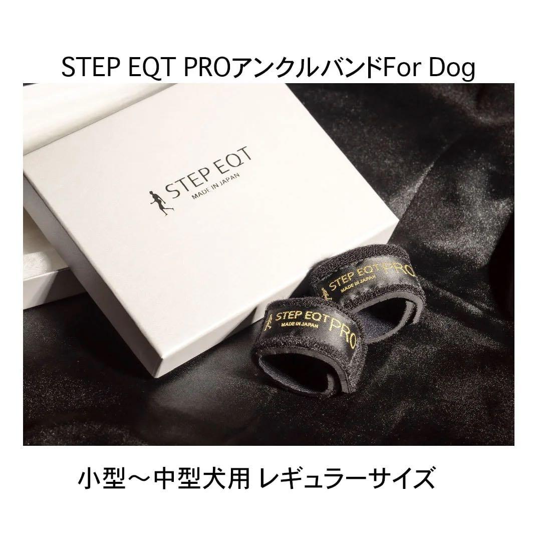 STEP EQT犬用ネックバンド・アンクルバンドセット