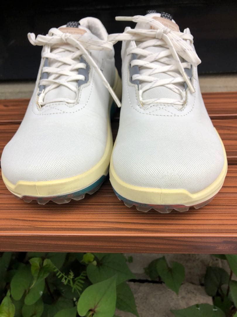 328番 美品 ECCO biom ゴルフシューズ36 23.0cmスパイクレス