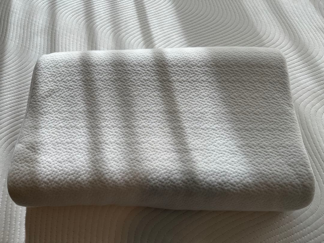 ヒツジのいらない枕 至極 HT-001 専用枕カバー付き