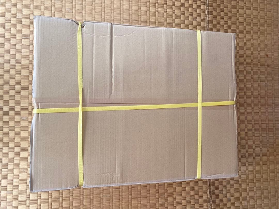 パール20 ギフト箱　50入　ヤマニパッケージ　新品未開封　化粧箱　フルーツ