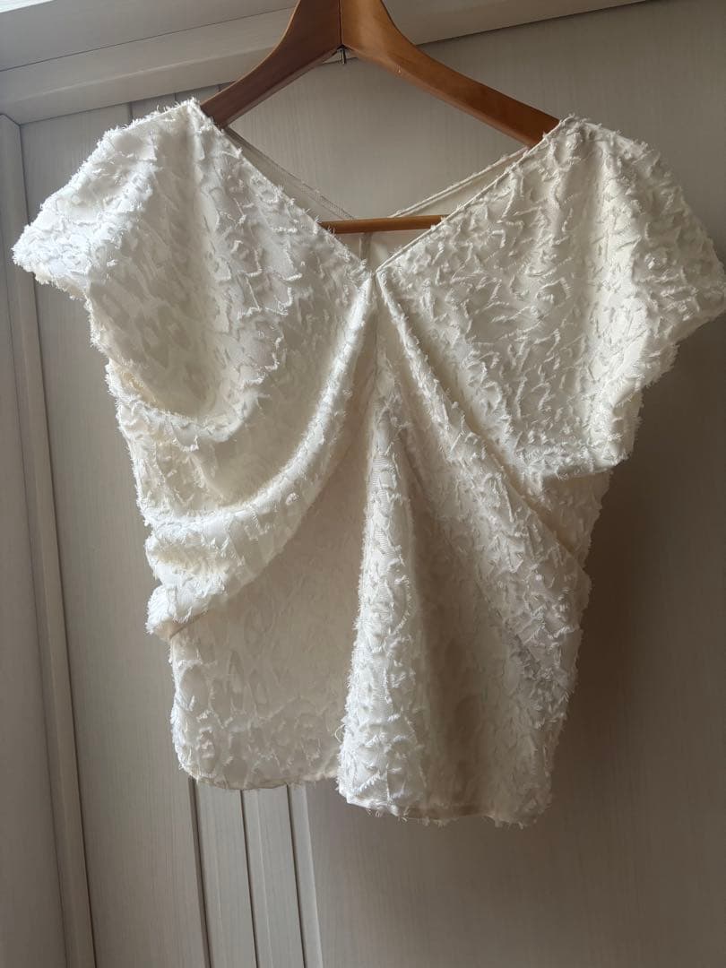 最新　ノーブル　【洗える】レオパードジャガードデコルテVブラウス