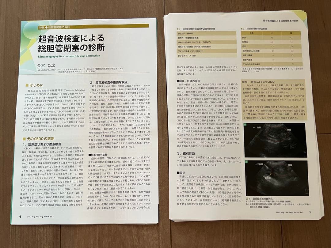 【裁断済み】SURGEON 167, 168, 169 3冊セット