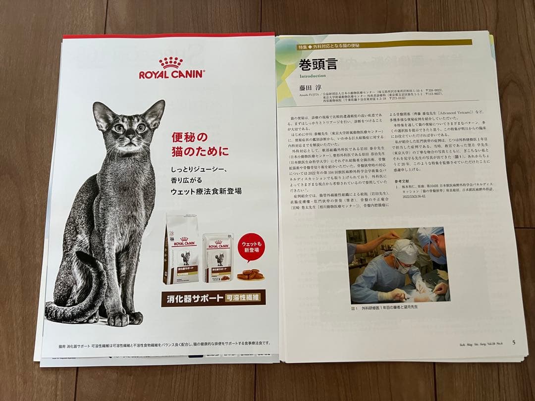 【裁断済み】SURGEON 167, 168, 169 3冊セット