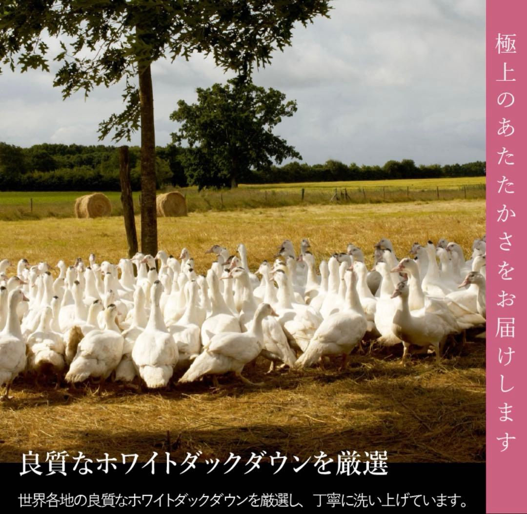 新品【甲州羽毛ふとん】洗える羽毛肌掛けふとん(シングル)