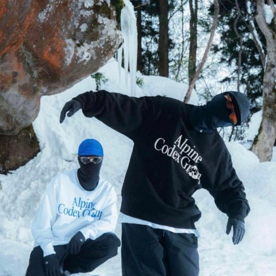 パンツ Alpine Codex Group Relax Pants L GOLDWIN