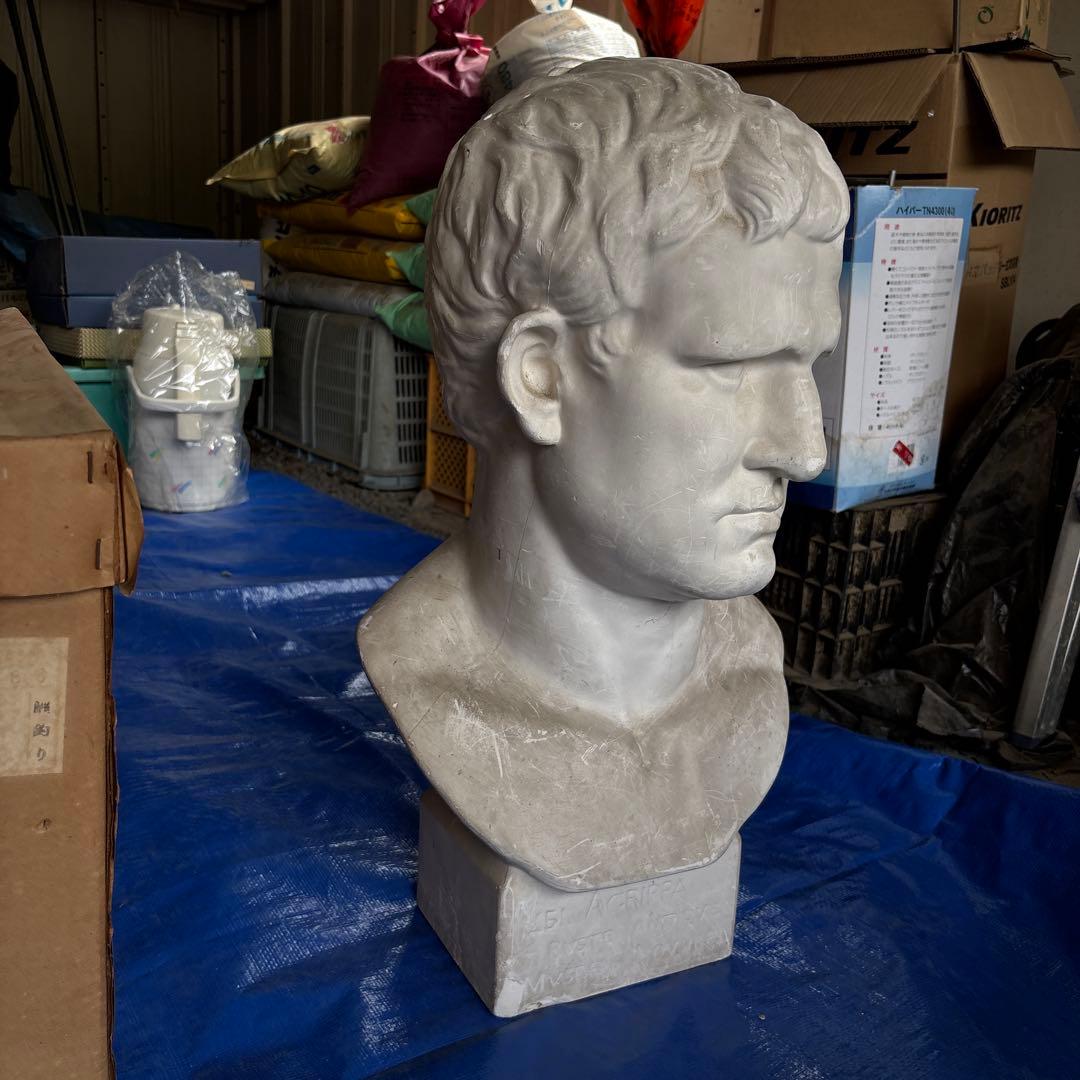 石膏像　アグリッパ　彫刻胸像