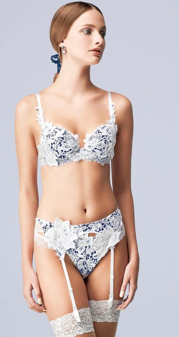 ワコール　サルート 店舗限定 WH 19G ブラジャー ノーマルショーツ