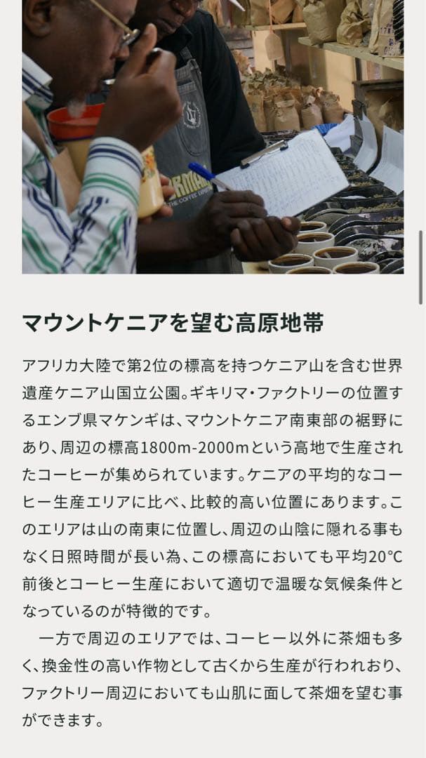 コーヒー生豆　ケニアピーベリー★ハンドピック済み後の3kg