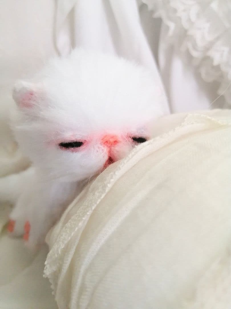 生後15日♡やわむぎゅ♡子猫ちゃん♡アートドール♡ぬいぐるみ♡