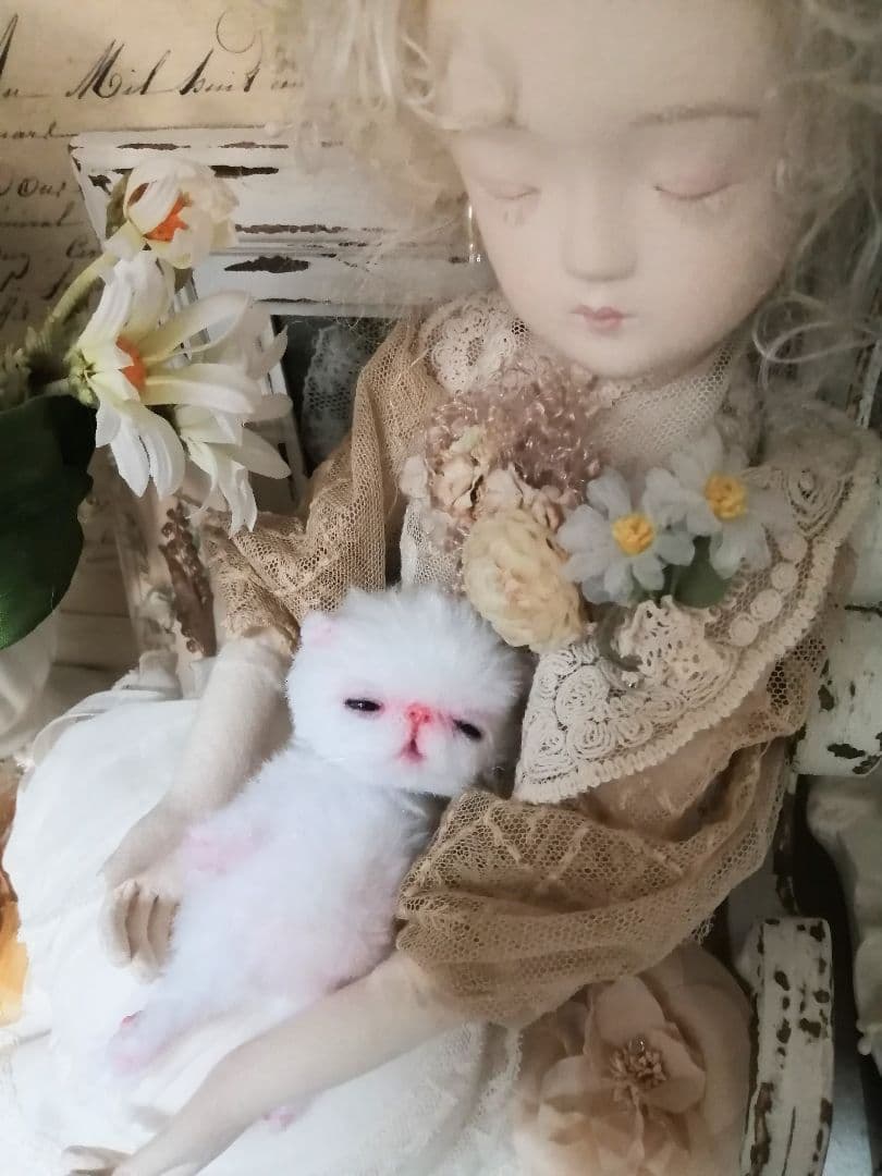 生後15日♡やわむぎゅ♡子猫ちゃん♡アートドール♡ぬいぐるみ♡