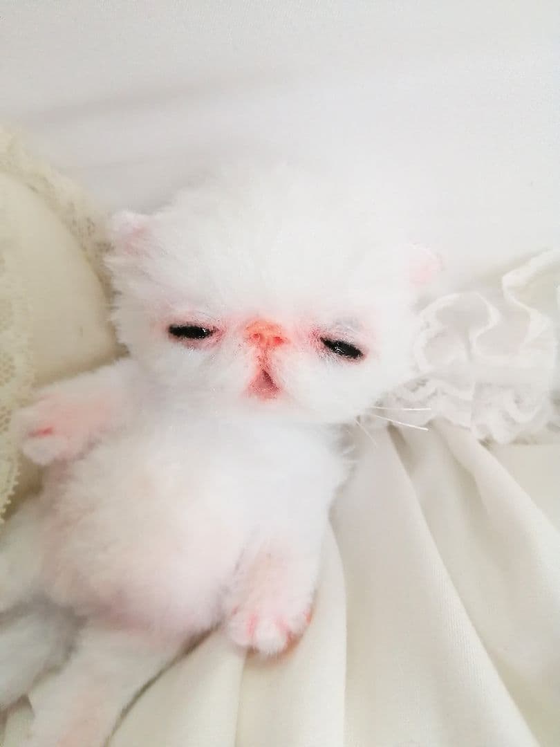 生後15日♡やわむぎゅ♡子猫ちゃん♡アートドール♡ぬいぐるみ♡