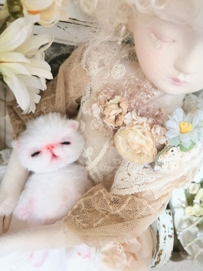 生後15日♡やわむぎゅ♡子猫ちゃん♡アートドール♡ぬいぐるみ♡
