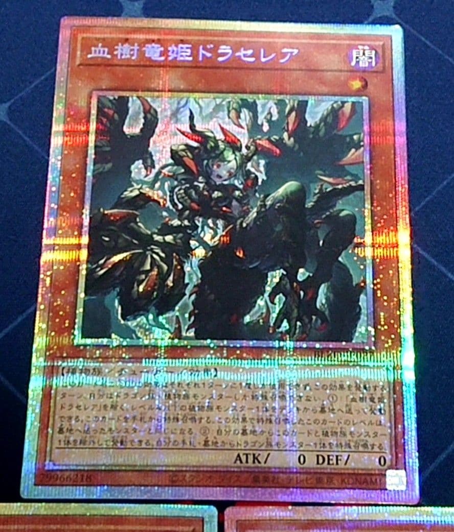 遊戯王 血樹竜姫ドラセレア プリズマ プリシク 3枚セット 日版