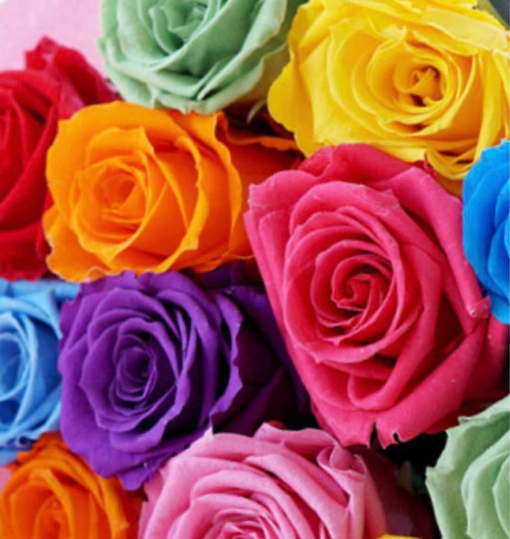 新品タグ付【マックスマーラ】ESTURIA 42 エクリュ　ロングコート