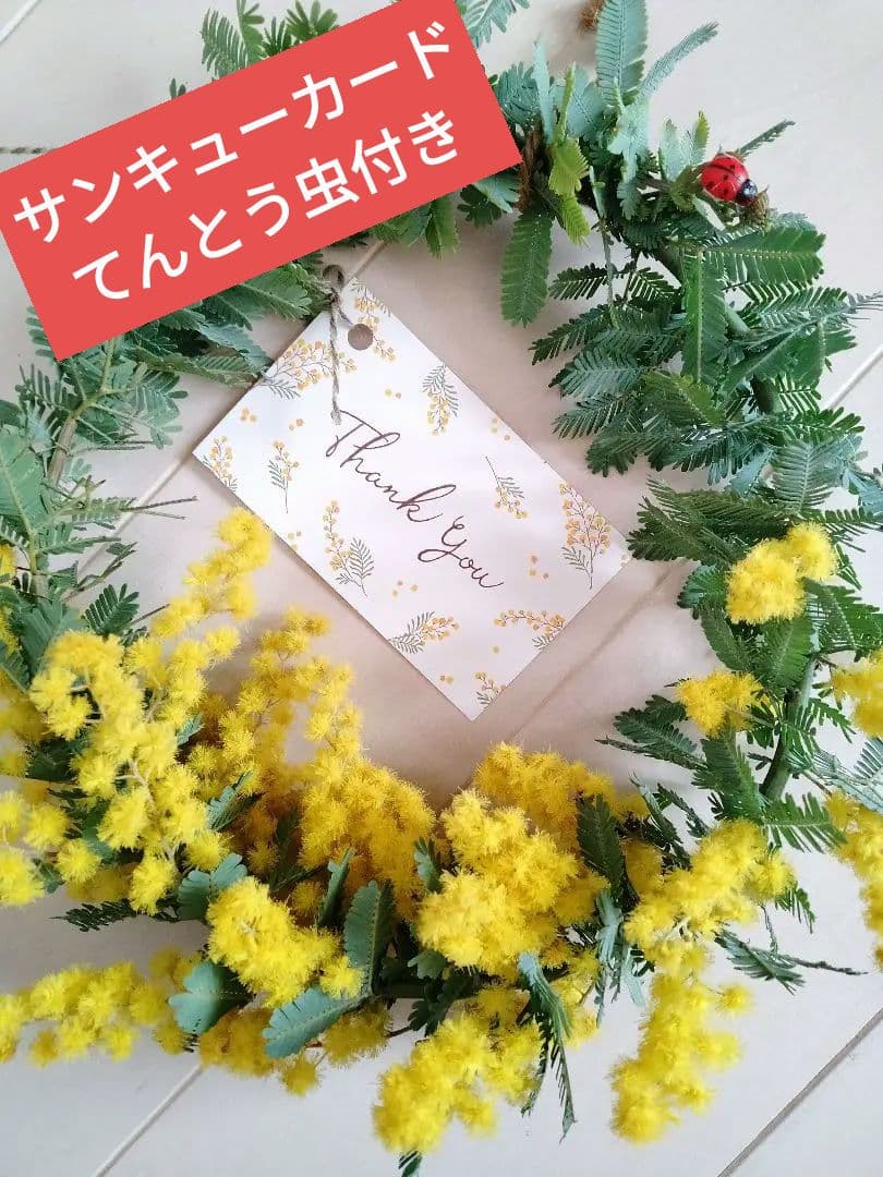 999円の予定　　ミモザリース