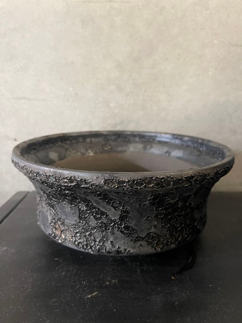 中川智治　植木鉢　大鉢　作家鉢