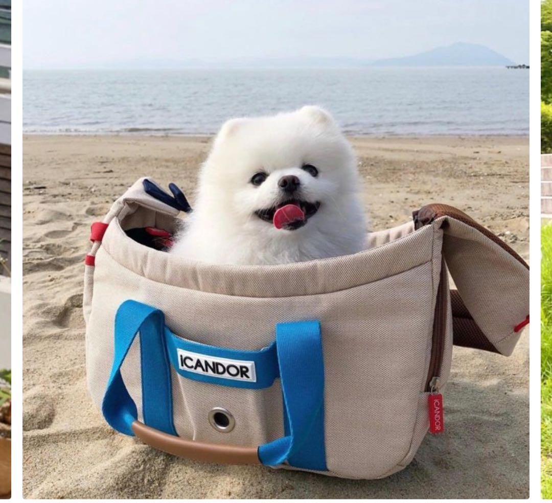 ICANDOR 小型犬キャリーバッグ ベージュ