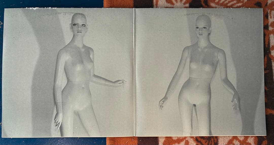 坂本慎太郎　レコード How To Live With A Phantom