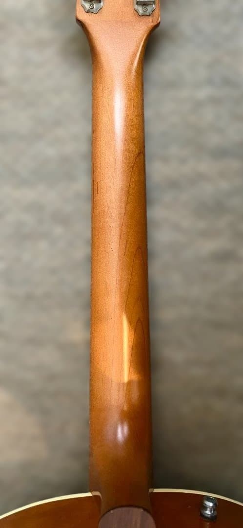 Godin 5th Avenue Kingpin P90 改良仕様 ノイズ対策済