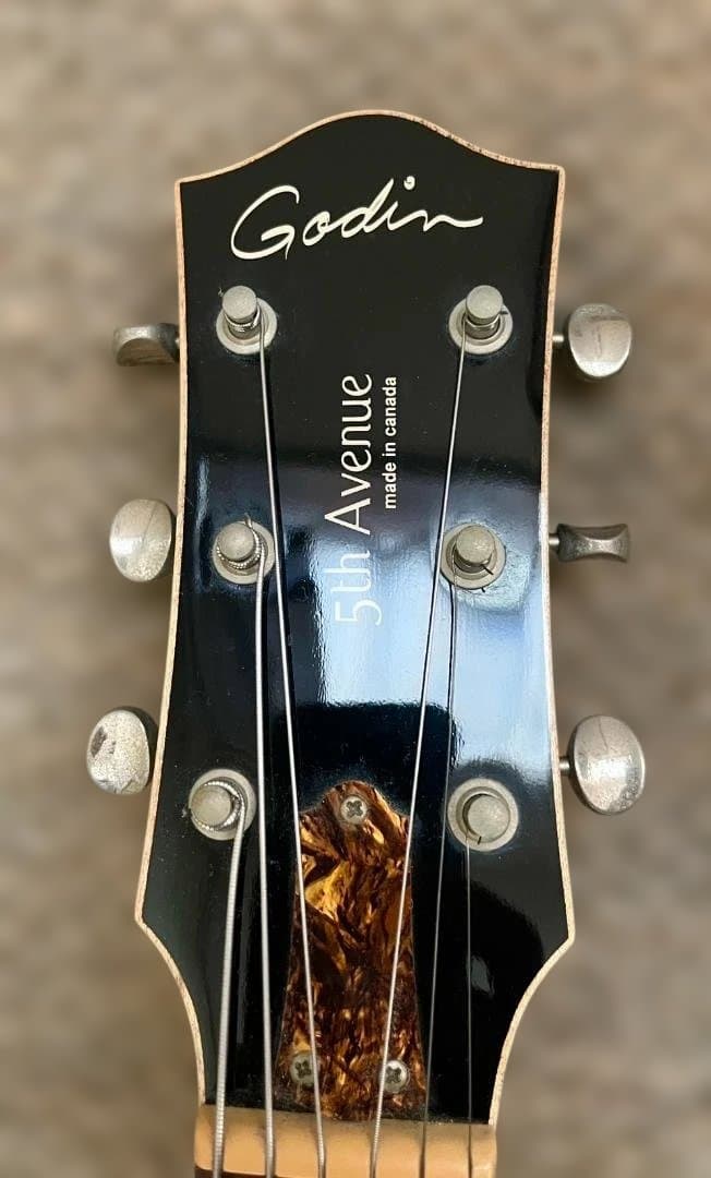 Godin 5th Avenue Kingpin P90 改良仕様 ノイズ対策済