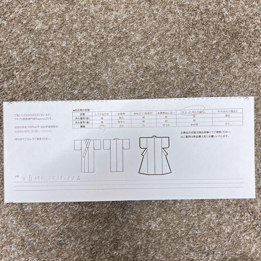 振袖　刺繍　牡丹　乱菊　霞　熨斗　花模様　成人式　着物　125tz