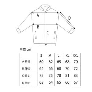 FYVE スノーボードウェア 日本限定 新品 セットアップ ［Lサイズ］グレー