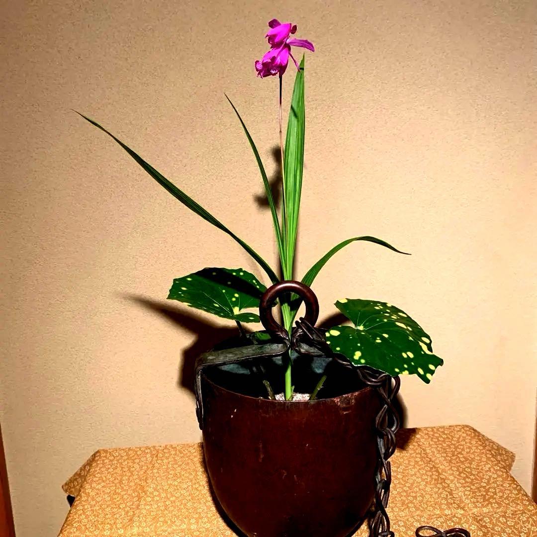 銅製のつるべ(時代物)