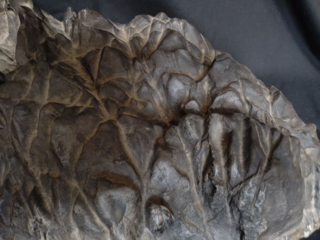 静岳石(特大)　鑑賞石　置物　NO.1150