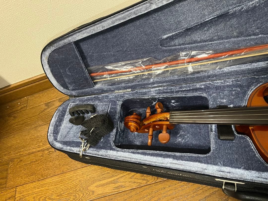 Carlo giordano Silenzia EV202 エレキバイオリン