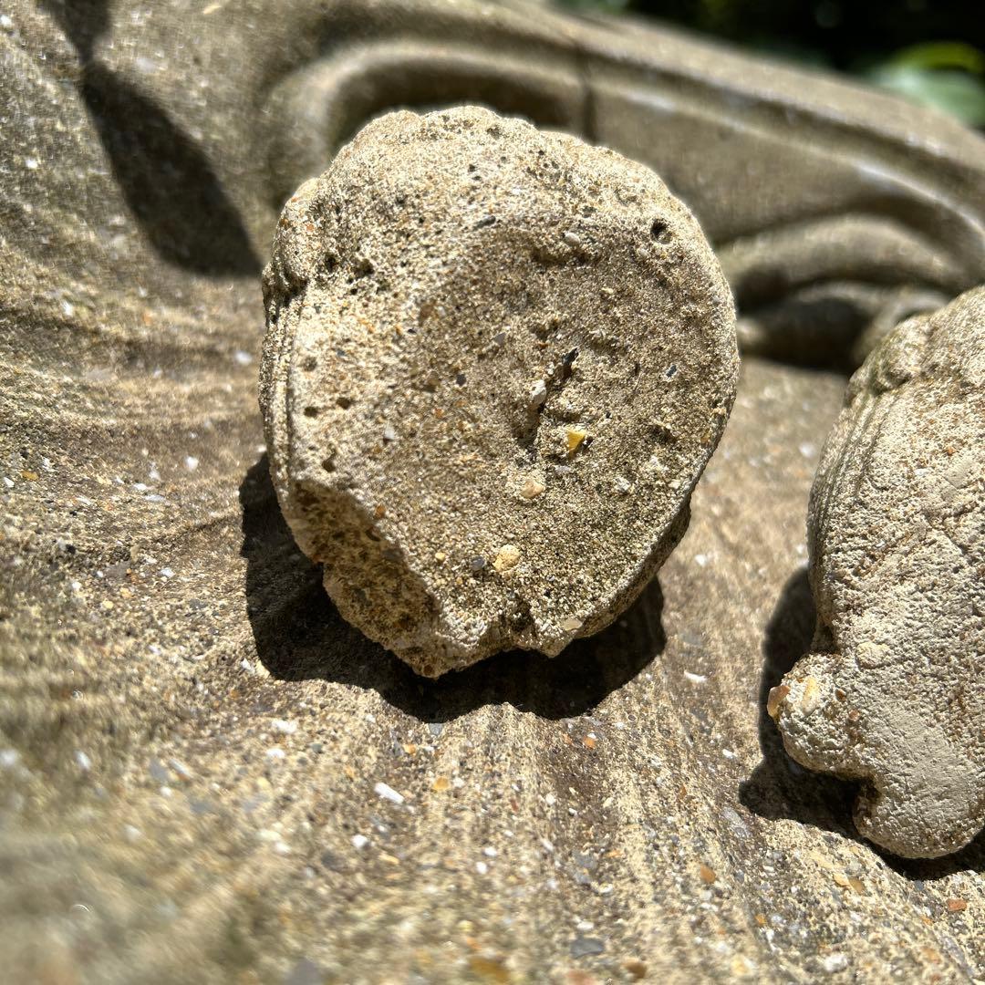 ワンダーデコールバードバスSMALL SHELL スクエア台座 雀のペア付き