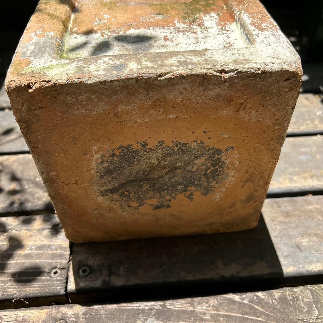 ワンダーデコールバードバスSMALL SHELL スクエア台座 雀のペア付き