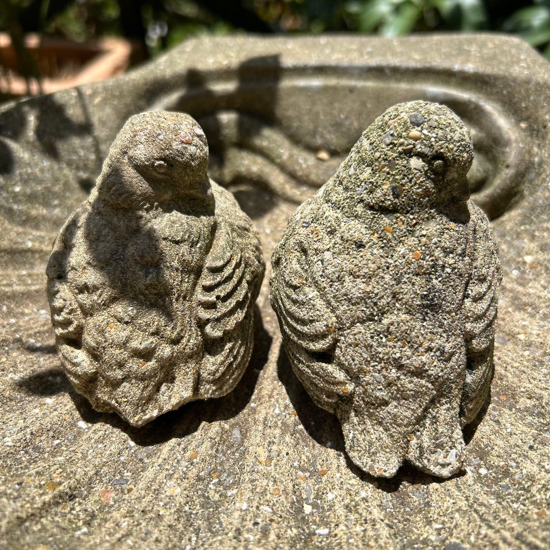 ワンダーデコールバードバスSMALL SHELL スクエア台座 雀のペア付き