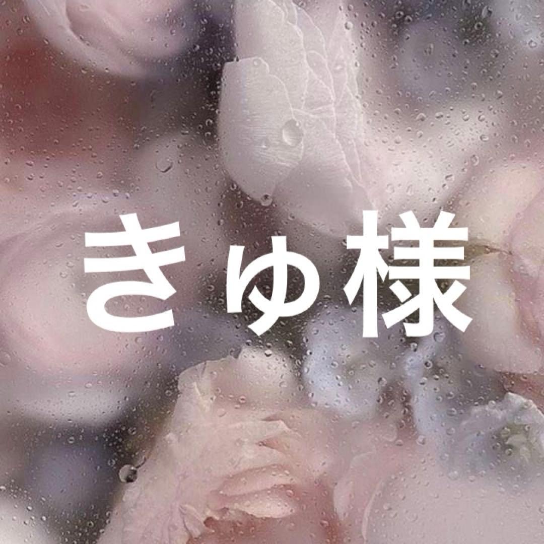 トップス 専用ページ