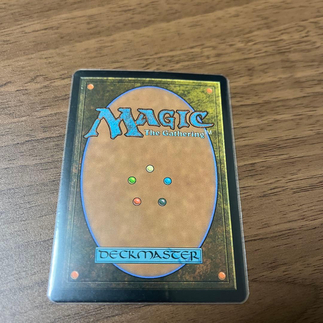与*樹様 マジックザギャザリング　霧深い雨林　SPG foil 英語