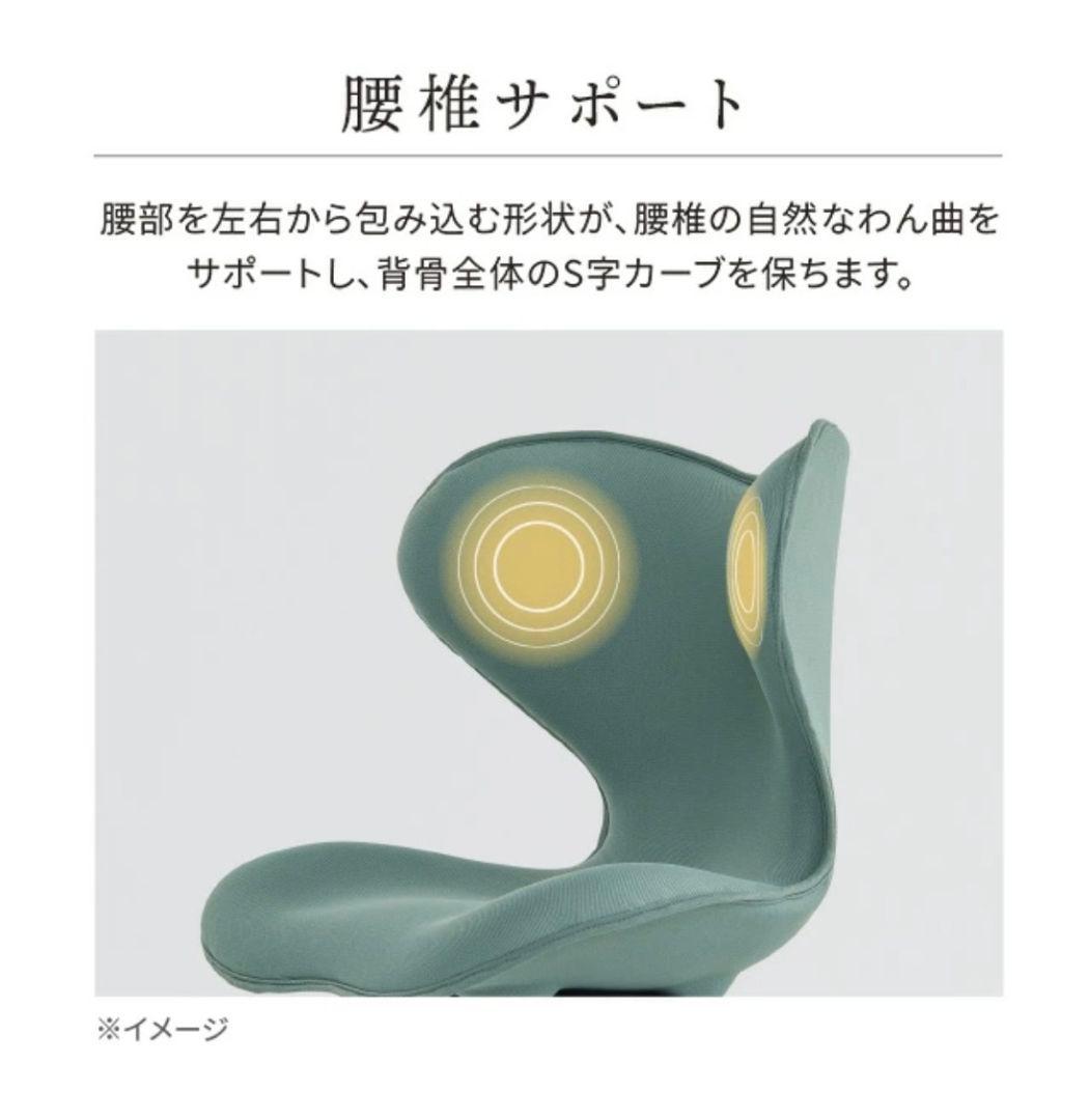 Style Chair SM スタイルチェア