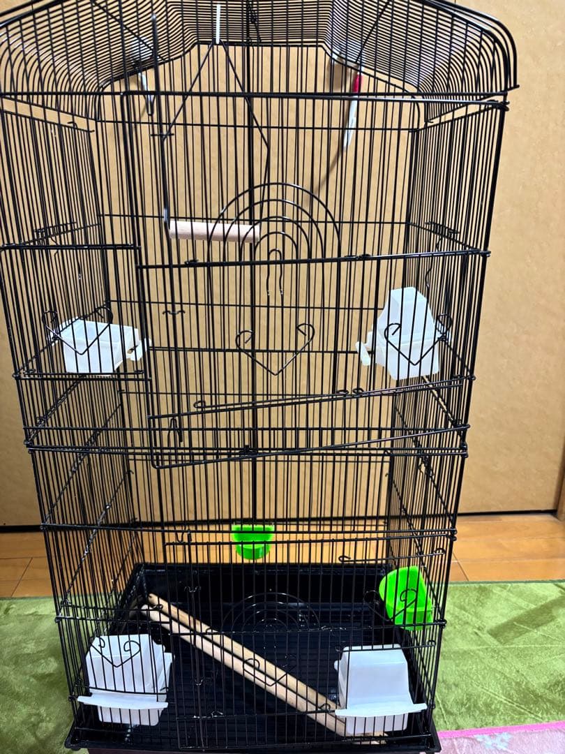 中型黒鳥かご、止まり木・餌入れ付き