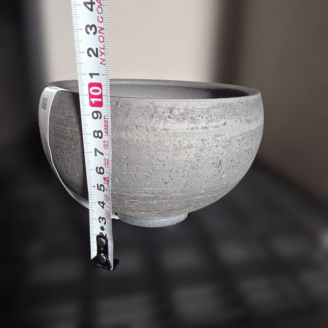 限定50個 三州みやび鉢 パキプス Invisible ink SRL 鶴仙園