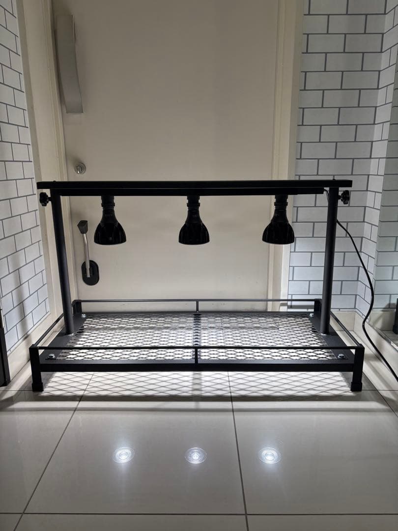 ②ミニ植物棚　卓上植物棚　アガベ　シーザー　ハデス　パキプス　塊根　グラキリス