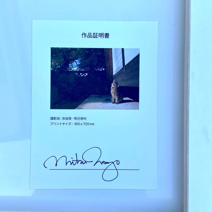 【希少】岩合光照さん　猫写真パネル！