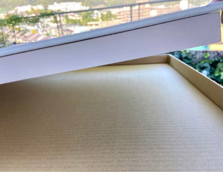 【希少】岩合光照さん　猫写真パネル！