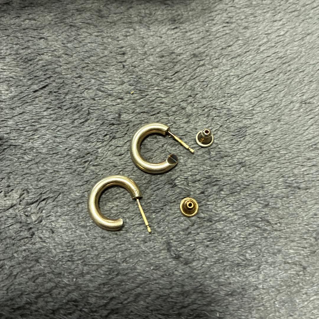 左耳のみ　キャリアリング　placebo プラシーボ　301F 0710